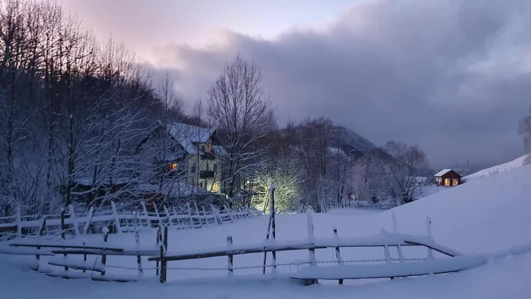 Vila La Craita Bran  Exteriér fotografie